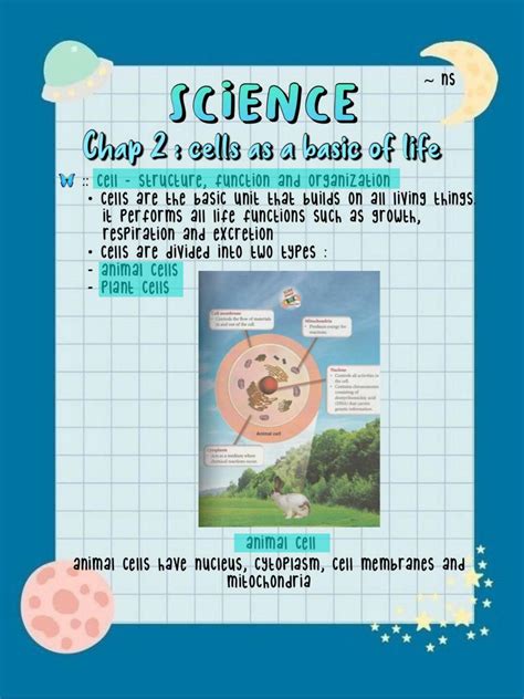 What Are The Basics Of Life And Why They Matter
