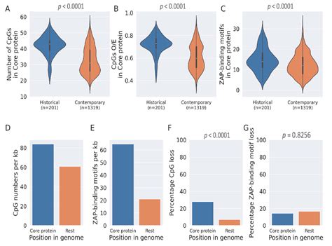 Selective Depletion of ZAP-Binding CpG Motifs in HCV Evolution