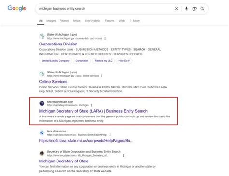 Michigan Business Entity Search - Use This Entity Search Guide!