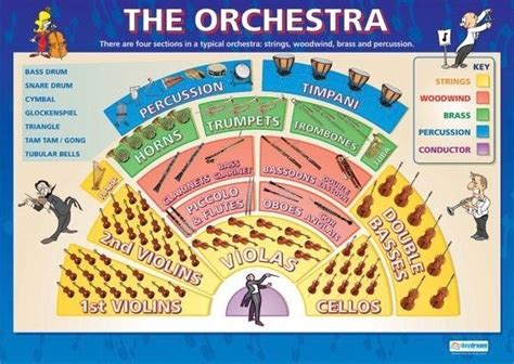 Image result for Orchestra Sections