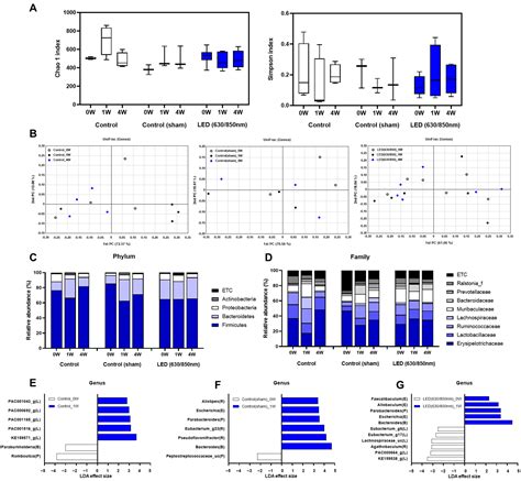 Duodenal Dual-Wavelength Photobiomodulation Improves Hyperglycemia and ...