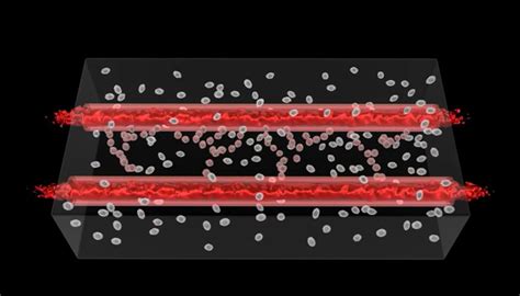 DOD funds new tissue biofabrication manufacturing consortium | Article ...