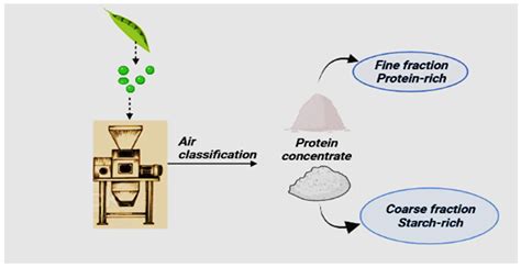 Image result for Pea Protein Extraction Process Flow Chart