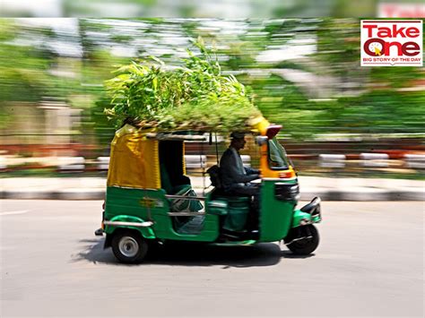 International Day of Biological Diversity 2022: Not all urban greenery ...