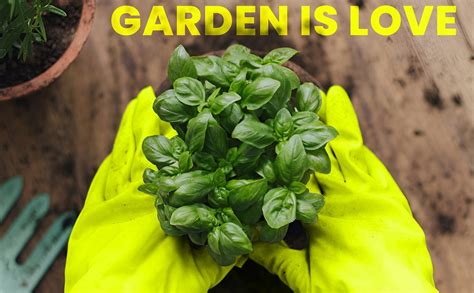 DeoDap 4Pcs Gardening Tools Kit for Home | (Pruning Shear Cutter, Hand ...