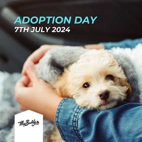 My Buddy And Me on LinkedIn: #mybuddyandme #petcare #petshampoo # ...