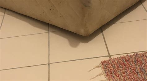 ARMAGAN OTEL (Bodrum City) - Lodge Reviews, Photos, Rate Comparison ...