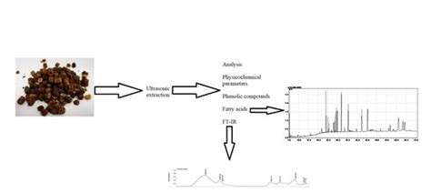 Bee Bread: Physicochemical Characterization and Phenolic Content ...