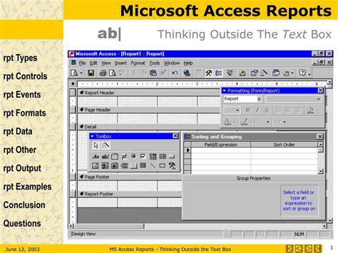 Reports in Access Database 的图像结果