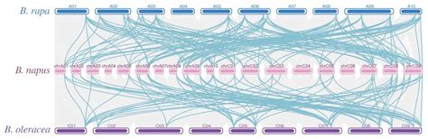 Genome-Wide Characterization of Alfin-like Genes in Brassica napus and ...