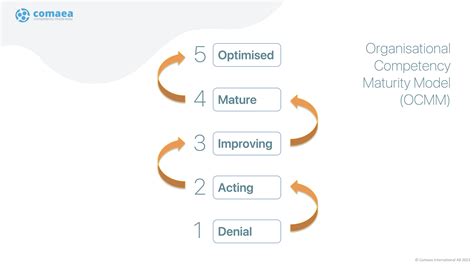 Image result for Competency Maturity Model