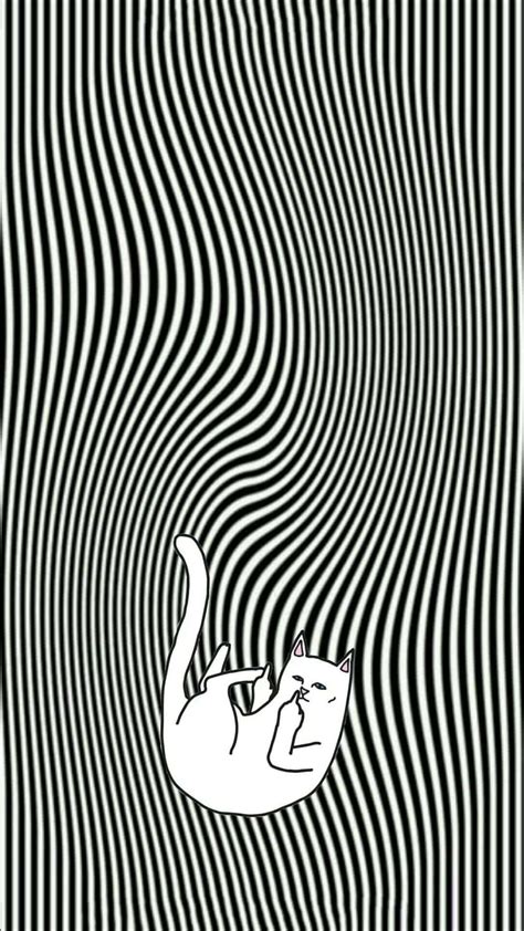 Wallpaper Middle Finger at Ty Pace blog