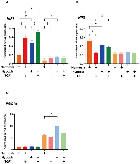 Hypoxia Differently Affects TGF-β2-Induced Epithelial Mesenchymal ...
