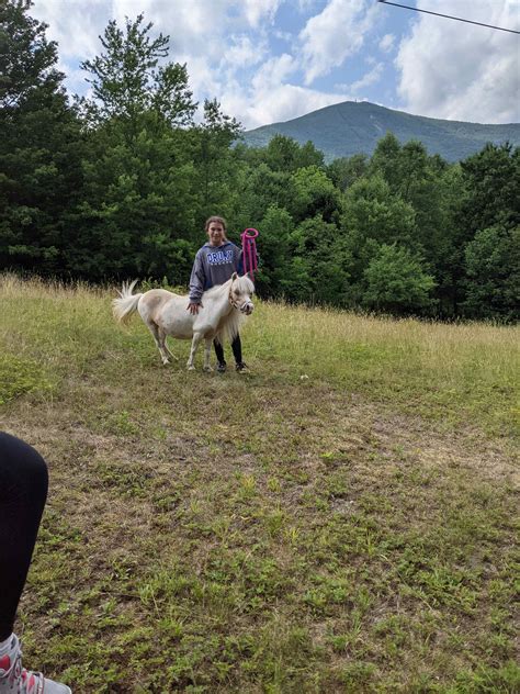 Camping in New England: Best New England Campgrounds 2024 | Hipcamp