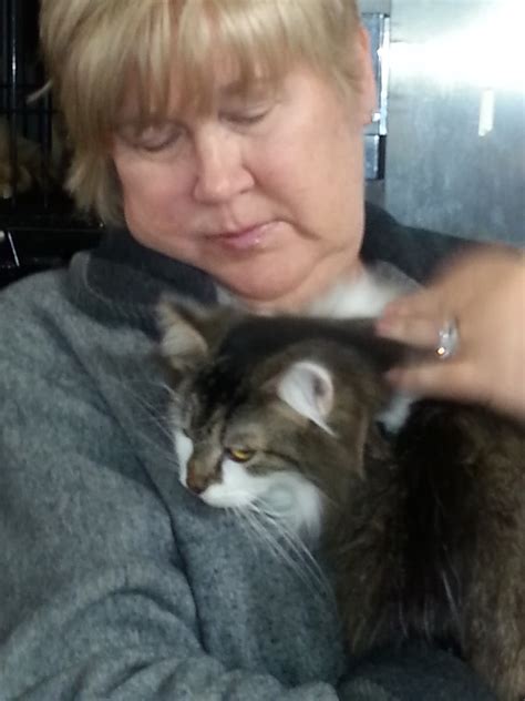 VAN WERT COUNTY HUMANE SOCIETY - Van Wert OH - Hours, Directions ...