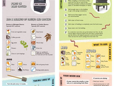 Composting Infographic 的图像结果
