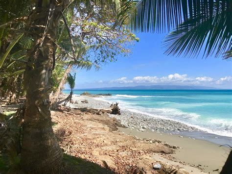 THE BEST Places to Visit in Playa Matapalo (2026)