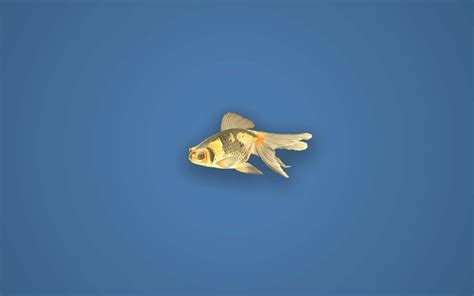Image result for Python Equalizer GUI