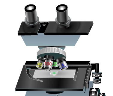 Image result for Virtual Microscopy Applications