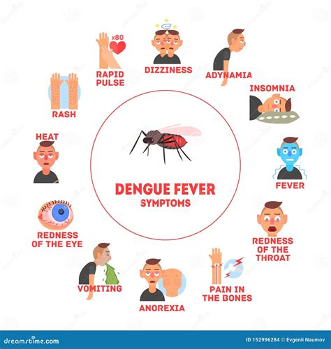 Dengue Fever Symptoms Information Banner Template Vector Illustration Stock Vector ...