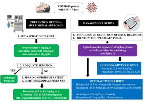 How to Manage Withdrawal of Sedation and Analgesia in Mechanically ...