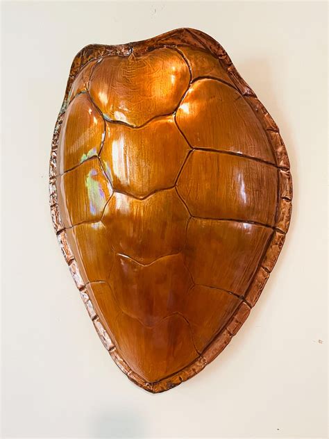 Image result for Turtle Shell Codpicece