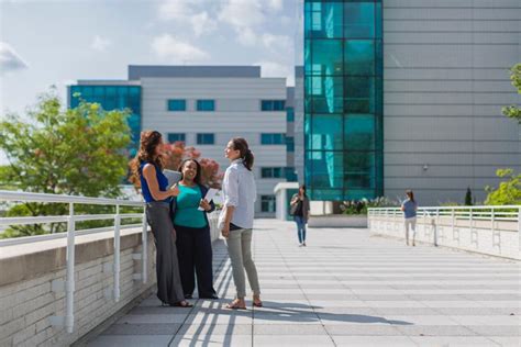 Image result for Progressive Insurance Org Chart