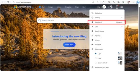 Bing Search Settings 的图像结果