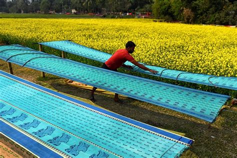 Everything you need to know about the Bengal cotton handloom tant sari ...