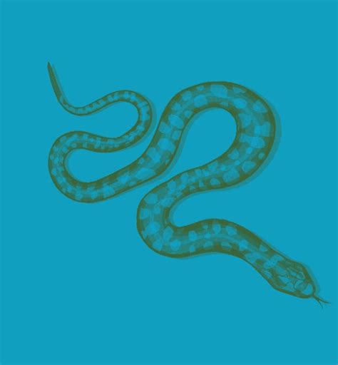 Image result for Snake Algorithm Python