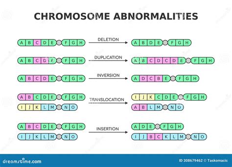 Chromosomal Abnormalities. Deletion, Duplication, Inversion ...