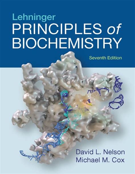 Biochemical Principles 的图像结果