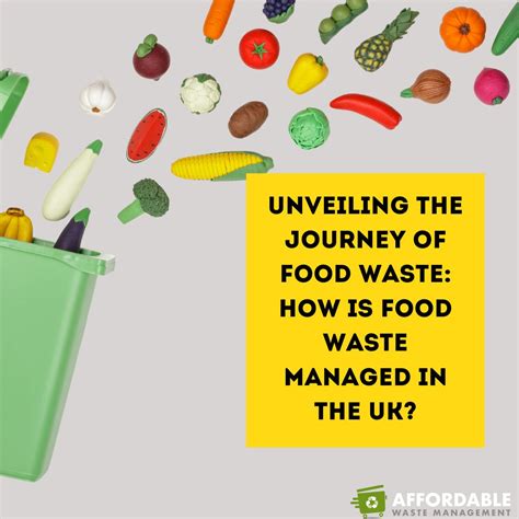 Image result for How Is Food Disposed