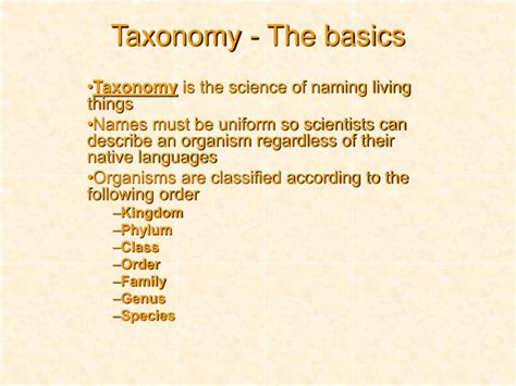 Image result for Taxonomy Basics