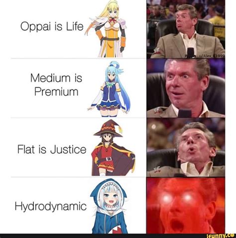 Oppai is Life Wen Medium is Premium Flat is Justice , Hydrodynamic ...