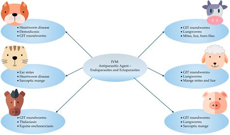 Therapeutic and Formulation Advances of Ivermectin in Veterinary and ...
