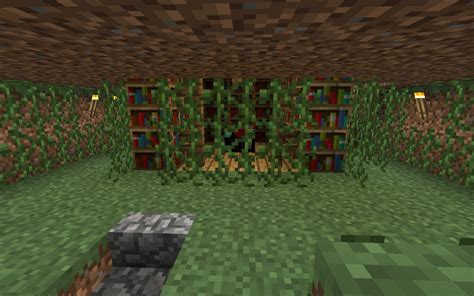 Image result for Minecraft Random World Map