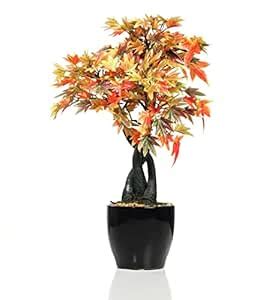 Buy Decoworld Artificial Japanese Maple Artificial Bonsai Plant 88 ...