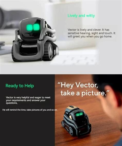 Image result for Vector Robot Price
