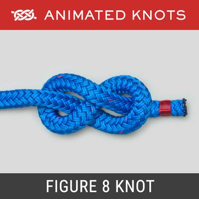 Image result for Knot Tying Tutorial Figure Eight