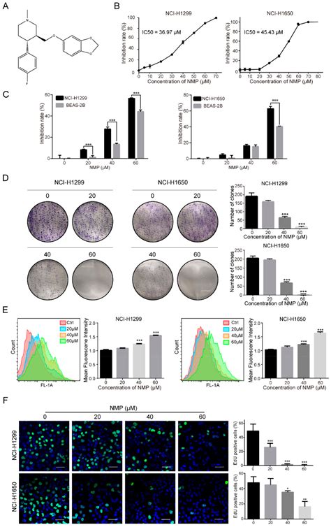 N-Methylparoxetine Blocked Autophagic Flux and Induced Apoptosis by ...