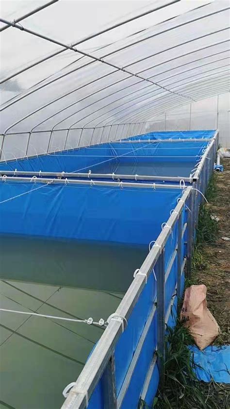 定制户外水产养殖圆形高密度PVC帆布刀刮布鱼池布耐磨耐撕养鱼池-阿里巴巴