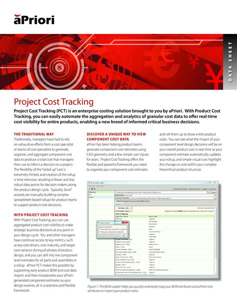 Microsoft Project Cost Tracking 的图像结果