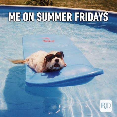 25 Funny Summer Memes We Can All Relate To | Reader's Digest