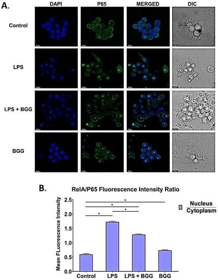 Glucogallin Attenuates the LPS-Induced Signaling in Macrophages and ...