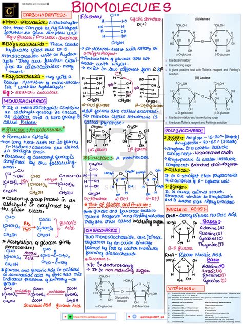 Image result for Biomolecules Class 12th