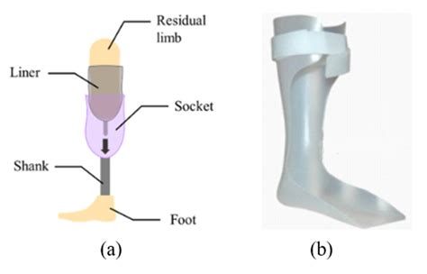 Polymer-Based Additive Manufacturing for Orthotic and Prosthetic Devices: Industry Outlook in Canada