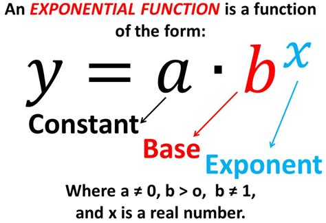 Exponential Function Grade 10 的图像结果