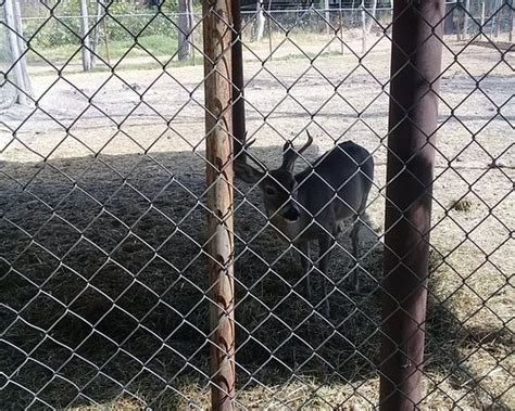 BEST Places to Visit in Moroleon - UPDATED 2023 (with Photos & Reviews ...