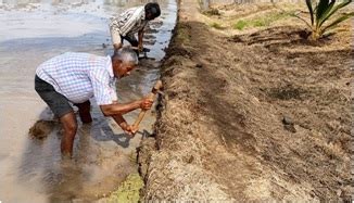 Tillage :: An Introduction